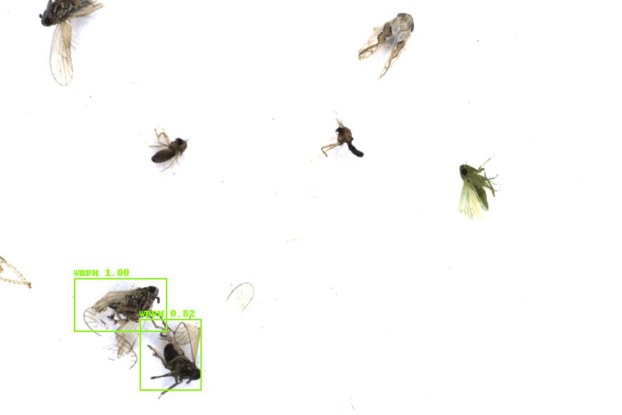 Image 22